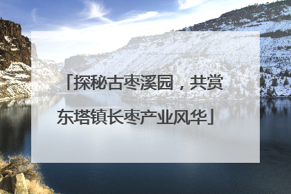 探秘古枣溪园，共赏东塔镇长枣产业风华