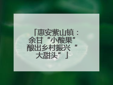 惠安紫山镇：余甘“小酸果”酿出乡村振兴“大甜头”