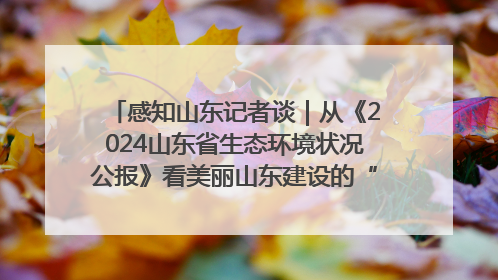 感知山东记者谈｜从《2024山东省生态环境状况公报》看美丽山东建设的“成绩单”与“任务书”