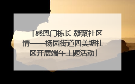 感恩门栋长 凝聚社区情——杨园街道四美塘社区开展端午主题活动