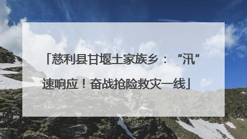 慈利县甘堰土家族乡：“汛”速响应！奋战抢险救灾一线