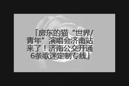 房东的猫“世界/青年”演唱会济南站来了！济南公交开通6条歌迷定制专线