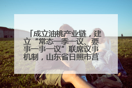 成立油桃产业链，建立“常态一季一议、要事一事一议”联席议事机制，山东省日照市莒县果庄镇——13个党小组“全周期”育果