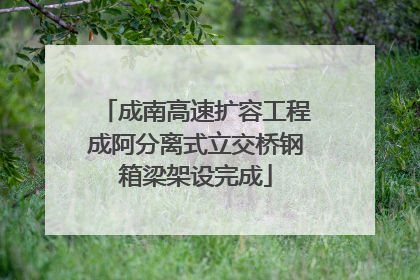 成南高速扩容工程成阿分离式立交桥钢箱梁架设完成