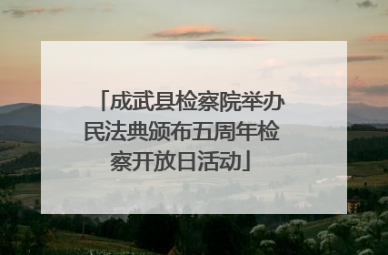 成武县检察院举办民法典颁布五周年检察开放日活动