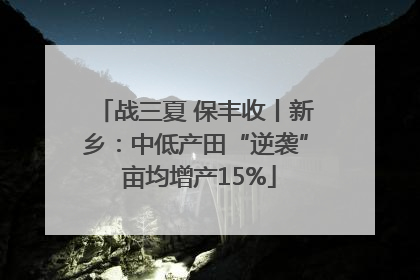 战三夏 保丰收丨新乡：中低产田“逆袭” 亩均增产15%