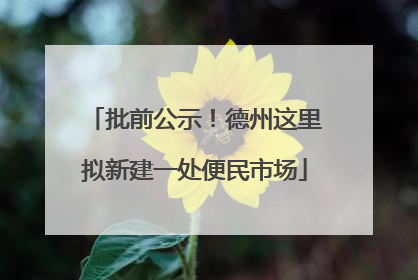 批前公示！德州这里拟新建一处便民市场