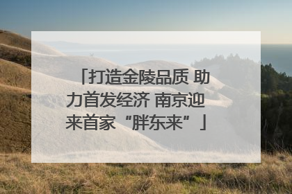 打造金陵品质 助力首发经济 南京迎来首家“胖东来”
