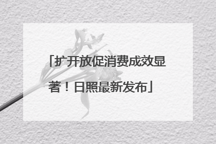扩开放促消费成效显著！日照最新发布