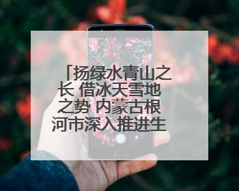 扬绿水青山之长 借冰天雪地之势 内蒙古根河市深入推进生态文明建设