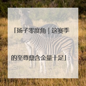 扬子零度角｜这赛季的至尊鼎含金量十足