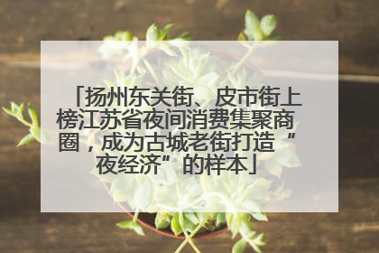 扬州东关街、皮市街上榜江苏省夜间消费集聚商圈，成为古城老街打造“夜经济”的样本
