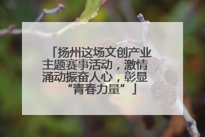 扬州这场文创产业主题赛事活动，激情涌动振奋人心，彰显“青春力量”