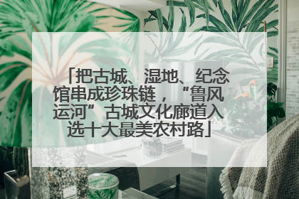 把古城、湿地、纪念馆串成珍珠链，“鲁风运河”古城文化廊道入选十大最美农村路