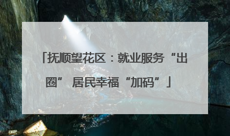抚顺望花区：就业服务“出圈” 居民幸福“加码”