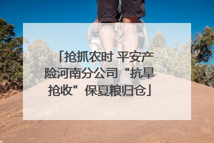 抢抓农时 平安产险河南分公司“抗旱抢收”保夏粮归仓