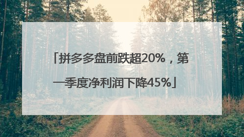 拼多多盘前跌超20%，第一季度净利润下降45%