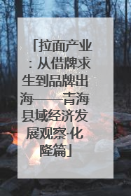 拉面产业：从借牌求生到品牌出海——青海县域经济发展观察·化隆篇