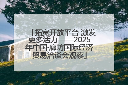 拓宽开放平台 激发更多活力——2025年中国·廊坊国际经济贸易洽谈会观察