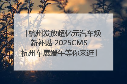 杭州发放超亿元汽车焕新补贴 2025CMS杭州车展端午等你来逛