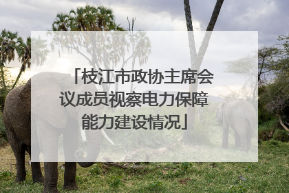 枝江市政协主席会议成员视察电力保障能力建设情况