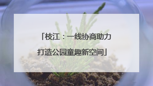 枝江：一线协商助力打造公园童趣新空间