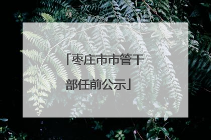 枣庄市市管干部任前公示