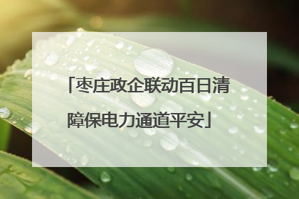 枣庄政企联动百日清障保电力通道平安