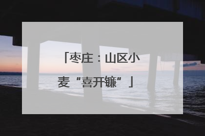 枣庄：山区小麦“喜开镰”