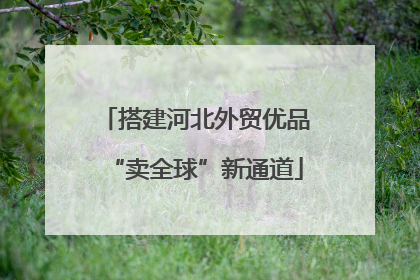 搭建河北外贸优品“卖全球”新通道