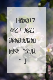 撬动174亿！龙岩连城地瓜如何变“金瓜”