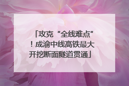 攻克“全线难点”！成渝中线高铁最大开挖断面隧道贯通