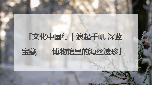 文化中国行｜浪起千帆 深蓝宝藏——博物馆里的海丝遗珍