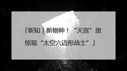 新知｜新物种！“天宫”里惊现“太空六边形战士”