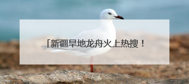 新疆旱地龙舟火上热搜！网友：主打没有一点水分