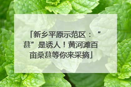 新乡平原示范区：“葚”是诱人！黄河滩百亩桑葚等你来采摘