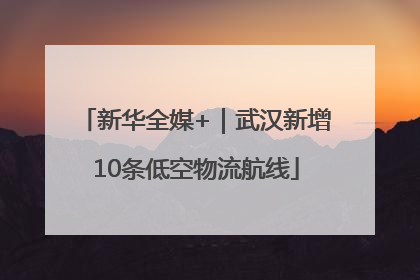 新华全媒+｜武汉新增10条低空物流航线