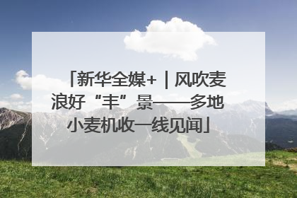新华全媒+｜风吹麦浪好“丰”景——多地小麦机收一线见闻
