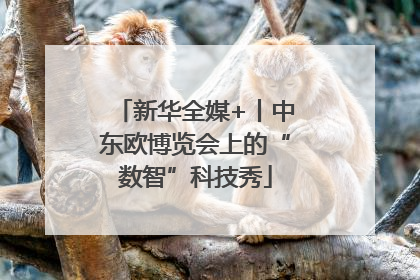 新华全媒+丨中东欧博览会上的“数智”科技秀