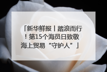 新华鲜报丨踏浪而行！第15个海员日致敬海上贸易“守护人”