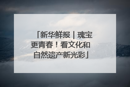 新华鲜报｜瑰宝更青春！看文化和自然遗产新光彩