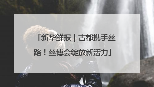 新华鲜报｜古都携手丝路！丝博会绽放新活力