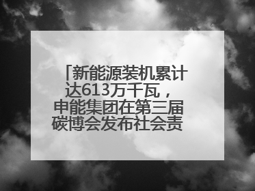 新能源装机累计达613万千瓦，申能集团在第三届碳博会发布社会责任报告