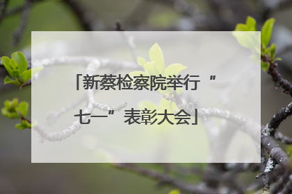 新蔡检察院举行“七一”表彰大会