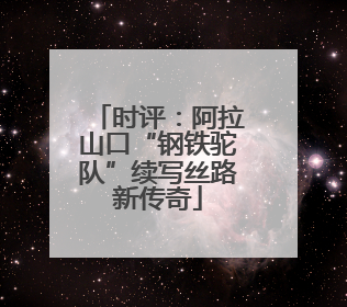 时评：阿拉山口“钢铁驼队”续写丝路新传奇