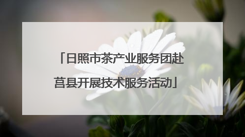 日照市茶产业服务团赴莒县开展技术服务活动