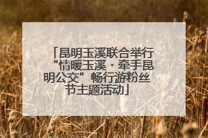 昆明玉溪联合举行“情暖玉溪・牵手昆明公交”畅行游粉丝节主题活动