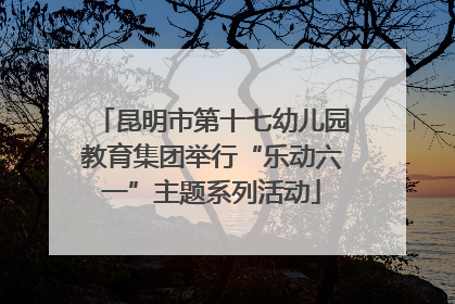 昆明市第十七幼儿园教育集团举行“乐动六一”主题系列活动