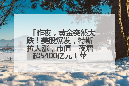 昨夜，黄金突然大跌！美股爆发，特斯拉大涨，市值一夜增超5400亿元！苹果传来大消息