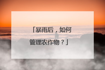 暴雨后，如何管理农作物？